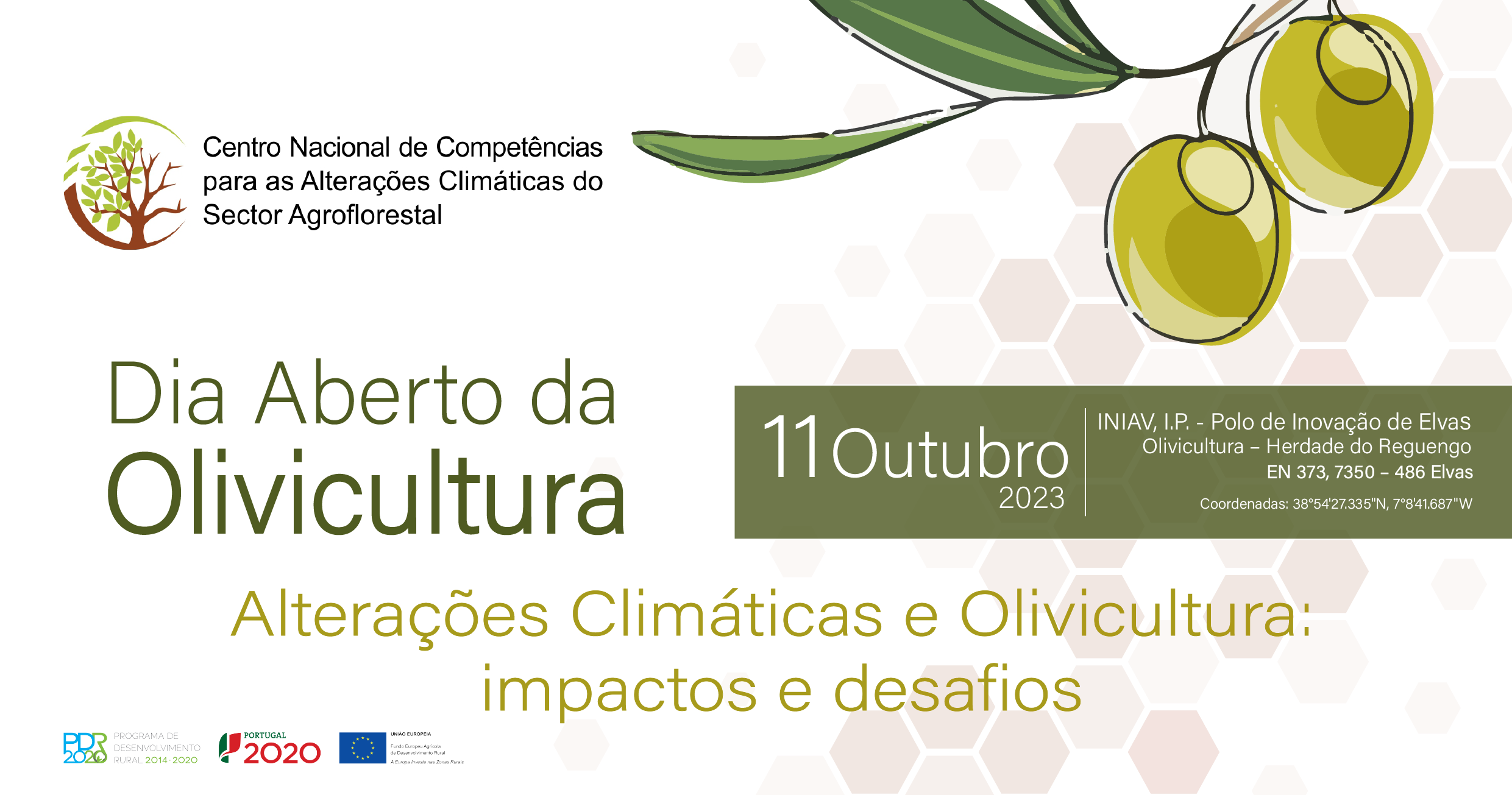 Dia Aberto da Olivicultura | Alterações Climáticas e Olivicultura: Impactos e Desafios