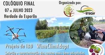 Colóquio final do projeto de I&D “WineClimAdapt – Seleção e caracterização das castas mais bem adaptadas a cenários de alterações climáticas”