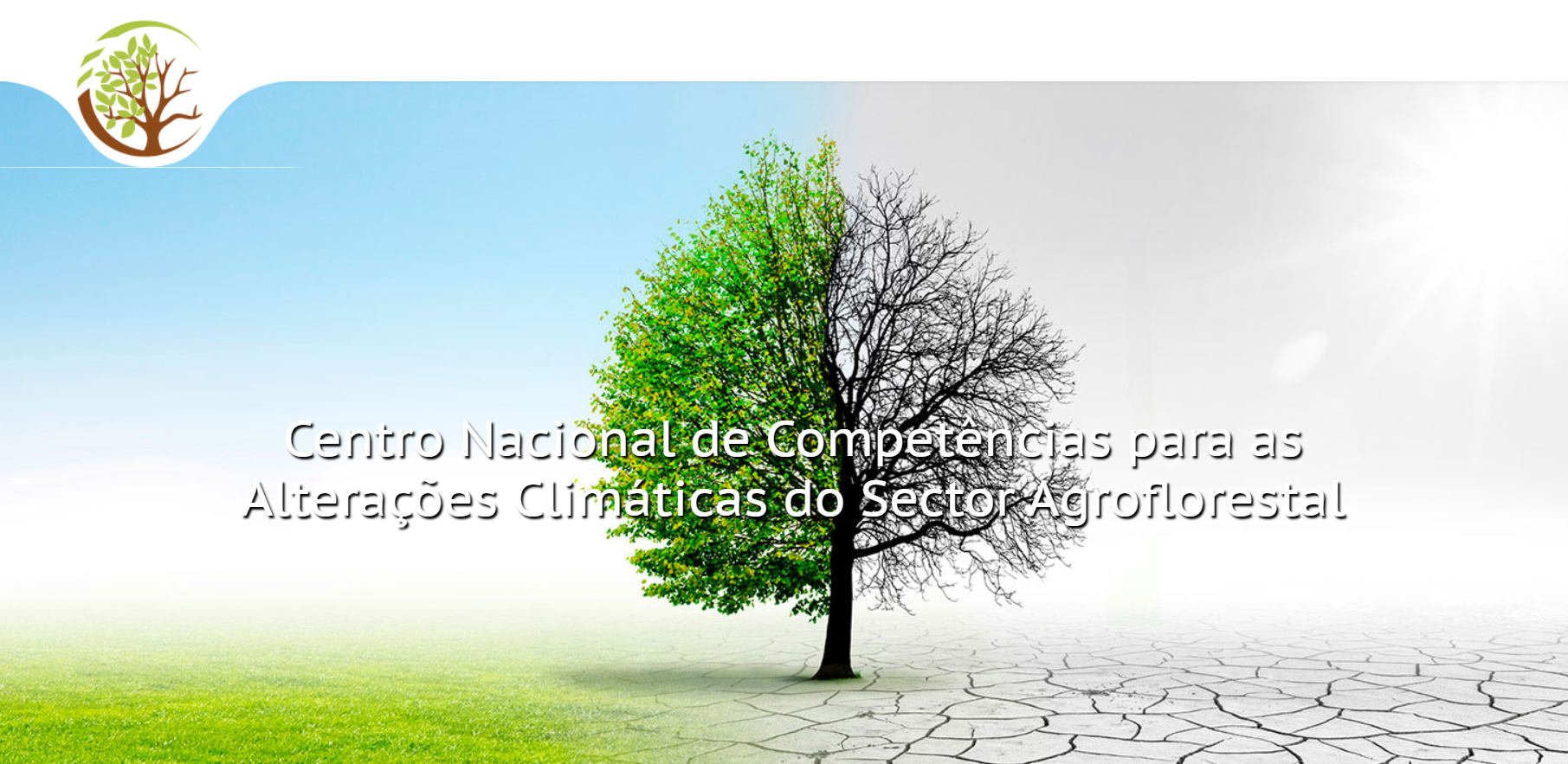 CNCACSA distinguido com a classificação de “Excelente” pelo Ministério da Agricultura