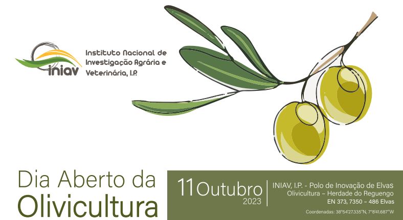 Programa 