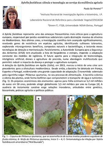 Xylella fastidiosa: ciência e tecnologia ao serviço da ... Imagem 1