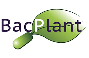 BacPlant - Towards a sustainable agriculture by increasing ... Imagem 1