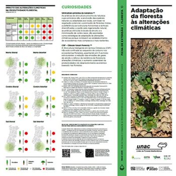 Adaptação da floresta às alterações climáticas Imagem 1