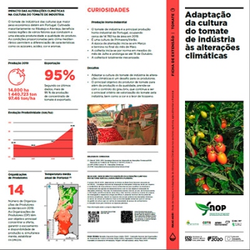 Adaptação da cultura do tomate de indústria às alterações ... Imagem 1