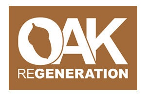 Oak®eGeneration - Estratégias e modelos de gestão florestal ... Imagem 1