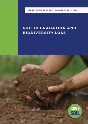 Soil Degradation and Biodiversity Loss Imagem 1